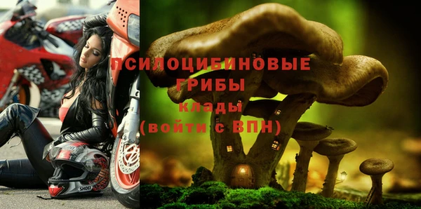 спиды Абаза