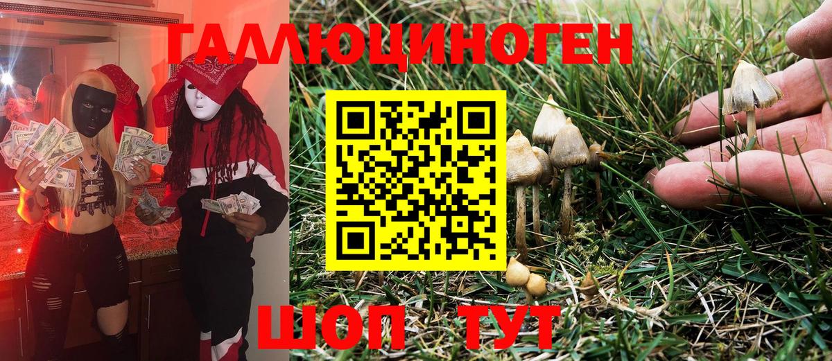 Назрань  Псилоцибиновые грибы Psilocybine cubensis  Вход с VPN  Галлюциногенные грибы Magic Shrooms 