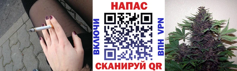 Каннабис план Назрань